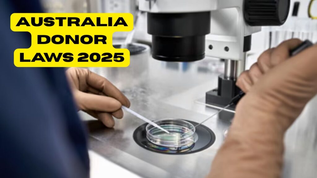 Donor Conception Laws in Australia 2025