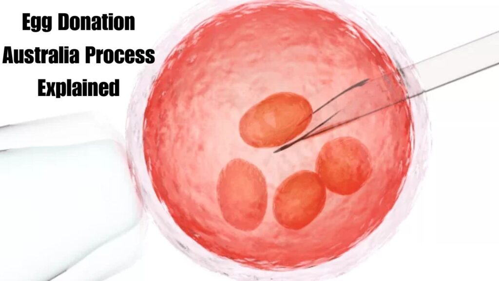 Egg Donation in Australia