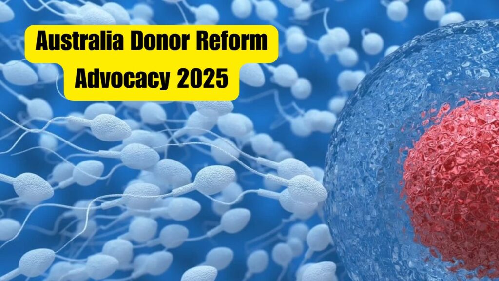 Transparency and Legislative Reform 2025